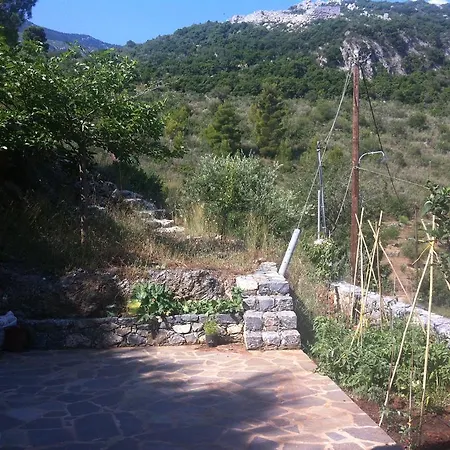 The Stone House